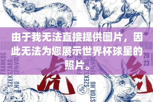 由于我无法直接提供图片,因此无法为您展示世界杯球星的照片。