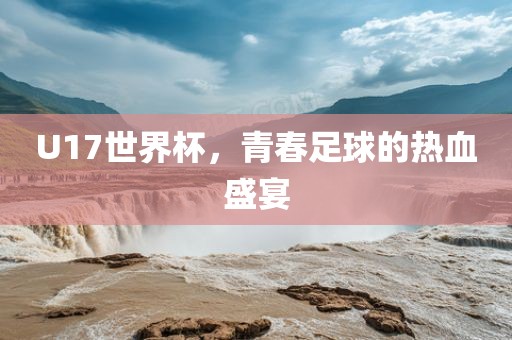 U17世界杯,青春足球的热血盛宴