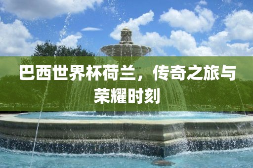 巴西黄冈市中杰窑炉设备有限公司世界杯荷兰,传奇之旅与荣耀时刻