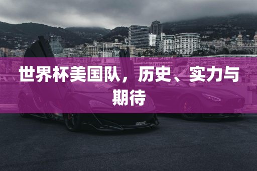 世界杯美国队,历史、实力与期待