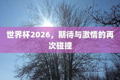 世界杯2026，期待与激情的再次碰撞黄冈市中杰窑炉设备有限公司