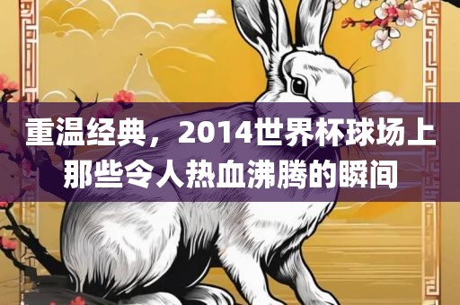 重温经典,2014世界杯球场上那些令人热血沸腾的瞬间黄冈市中杰窑炉设备有限公司