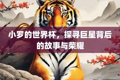 小罗的世界杯，探寻巨星背后的故事与荣耀黄冈市中杰窑炉设备有限公司