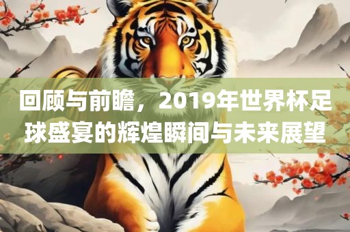 回黄冈市中杰窑炉设备有限公司顾与前瞻,2019年世界杯足球盛宴的辉煌瞬间与未来展望