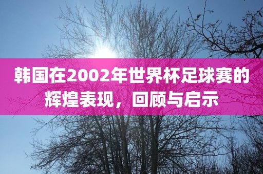 韩国在2002年世界杯足球赛的辉煌表现,回顾与启示