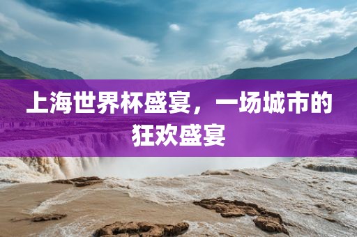 上海世界杯盛宴,一场城市的狂欢盛宴黄冈市中杰窑炉设备有限公司
