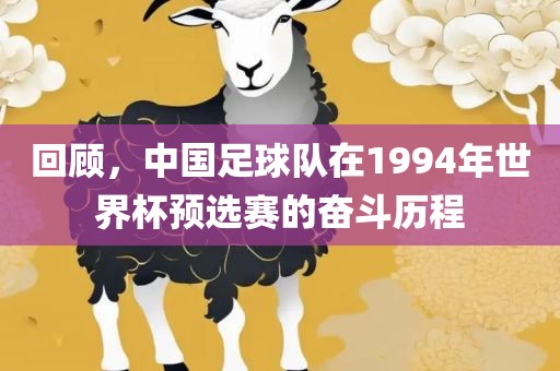 回顾，中国足球队在1994年世界杯预选赛的奋斗历程黄冈市中杰窑炉设备有限公司