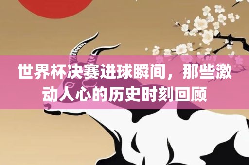 世界杯决赛进球瞬间,那些激动人心的历史黄冈市中杰窑炉设备有限公司时刻回顾