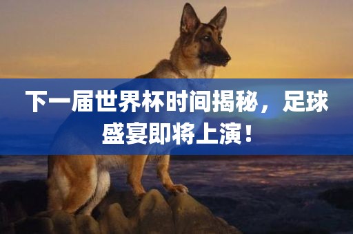 下一届世界杯时间揭秘，足球盛宴即将上演！