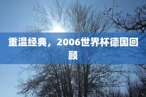 重温经典,2006世界杯德国黄冈市中杰窑炉设备有限公司回顾