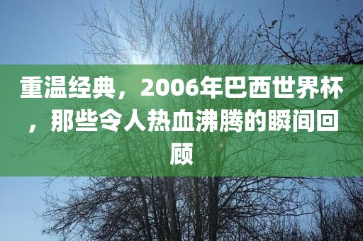 重黄冈市中杰窑炉设备有限公司温经典，2006年巴西世界杯，那些令人热血沸腾的瞬间回顾