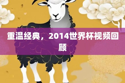 重温经典,2014世界杯视频回顾黄冈市中杰窑炉设备有限公司