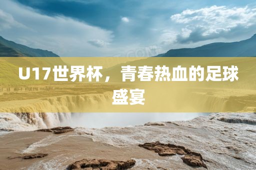 U17世界杯，青春热血的足球盛宴