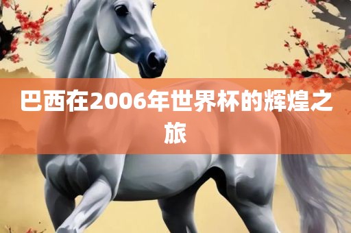 巴西在2006年世界杯的辉黄冈市中杰窑炉设备有限公司煌之旅
