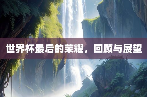 世界杯最后的荣耀,回顾与展望