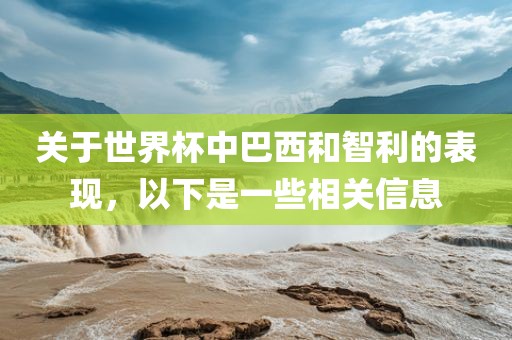 关于世界杯中巴西和智利黄冈市中杰窑炉设备有限公司的表现,以下是一些相关信息
