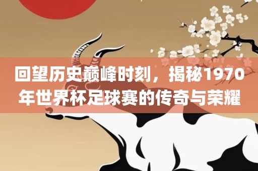 回望历史巅峰时刻，揭秘1970年世界杯足球赛的传奇与荣耀黄冈市中杰窑炉设备有限公司