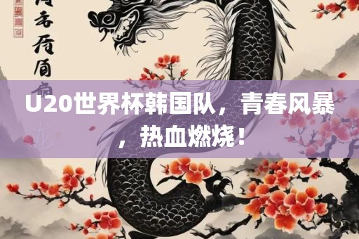 U20世界杯韩国队,青春风暴,热血燃烧!