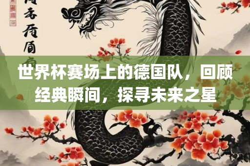 世界杯赛场上的德国队,回顾经典瞬黄冈市中杰窑炉设备有限公司间,探寻未来之星