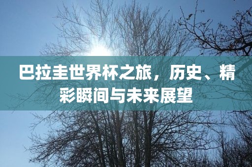 巴拉圭世界杯之旅,历史、精彩瞬间与未来展望黄冈市中杰窑炉设备有限公司
