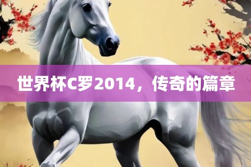 世界杯C罗2014,传奇的篇章黄冈市中杰窑炉设备有限公司