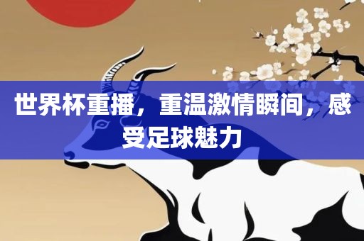 世界杯重播，重温激情瞬间，感受足球魅力