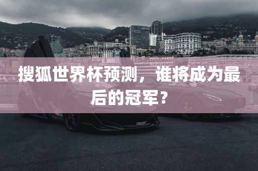 搜狐世界杯预测,谁将成为最后的冠军?