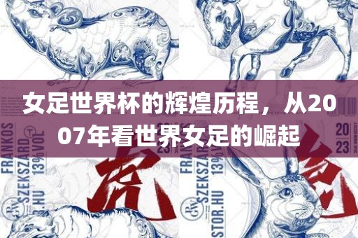 女足世界杯的辉煌历程,从2007年看世界女足的崛起