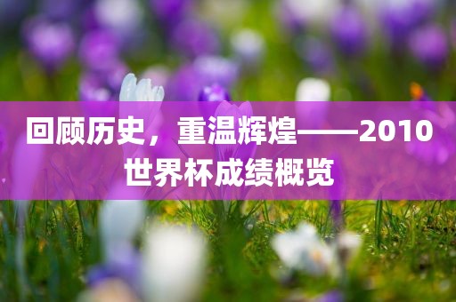 回顾历史,重温辉煌——2010世界杯成绩概览