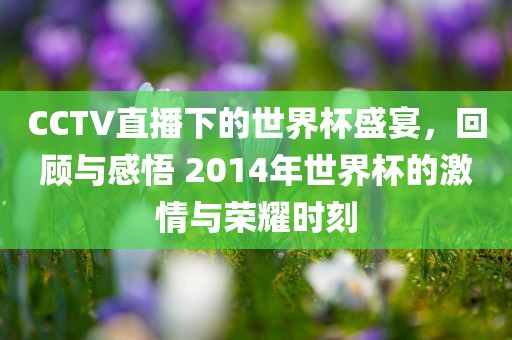 CCTV直播下的世界杯盛宴,回顾与感悟 2014年世界杯的激情与荣耀时刻