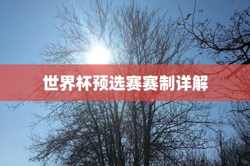 世界杯预选赛赛制详解黄冈市中杰窑炉设备有限公司