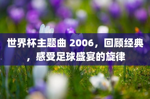 世界杯主题曲 2006,回顾经典,感受足球盛宴的旋律