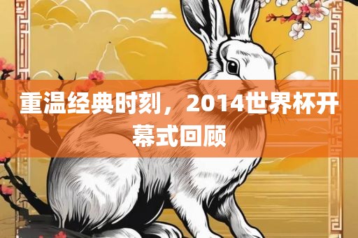 重温经典时刻,2014世界杯开幕式回顾黄冈市中杰窑炉设备有限公司