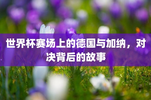 世界杯赛场上的德国与加纳,对决背后的故事黄冈市中杰窑炉设备有限公司
