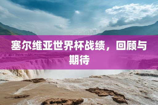 塞尔维亚世界杯战绩,回顾与期待黄冈市中杰窑炉设备有限公司