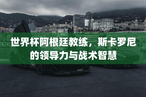 世界杯阿根廷教练,斯卡罗尼的领导力与战术智慧黄冈市中杰窑炉设备有限公司