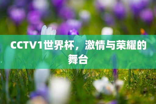 CCTV1世界杯,激情与荣耀的舞台黄冈市中杰窑炉设备有限公司