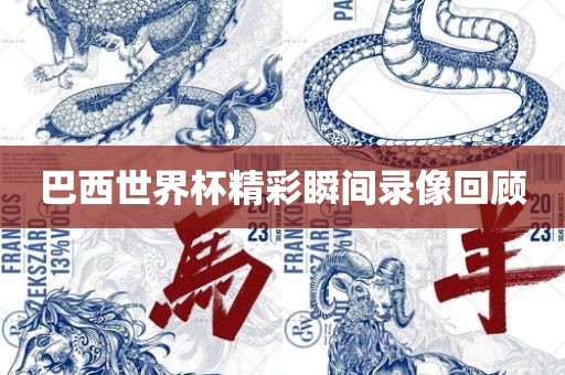 巴西世界杯精彩瞬间录像回顾黄冈市中杰窑炉设备有限公司