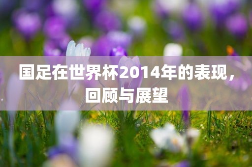 国足在世界杯2014年的表现,回顾与展望