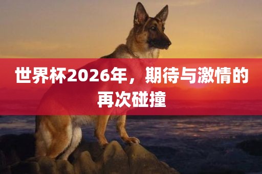世界杯2026年，期待与激情的再次碰撞