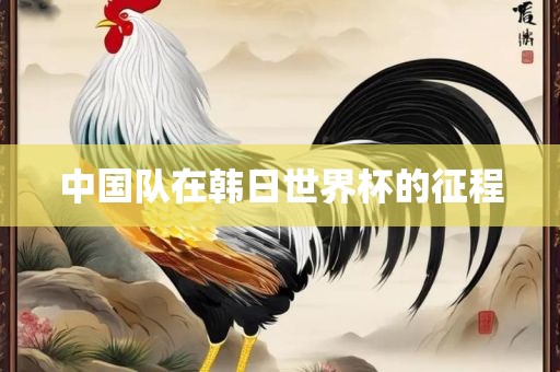 中国队在韩日世界杯的征程黄冈市中杰窑炉设备有限公司