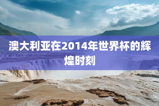 澳大利亚在2014年世界杯的辉煌时刻