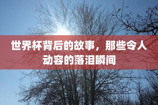 世界杯背后的故事，那些令人动容的落泪瞬间黄冈市中杰窑炉设备有限公司