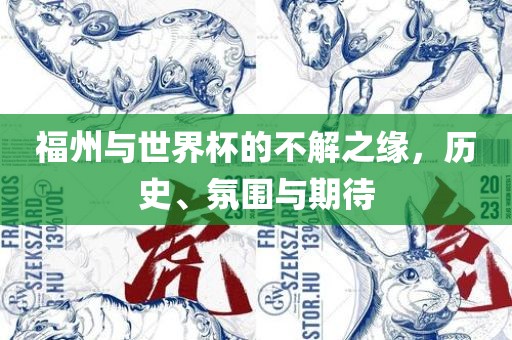 福州与世界杯的不解之缘,历史、氛围与期待