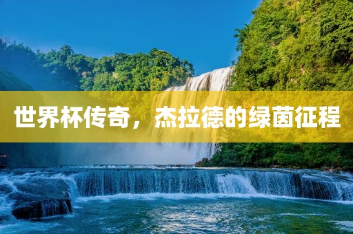 世界杯传奇，杰拉德的绿茵征程