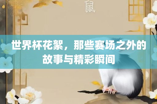 世界杯花絮,那些赛场之外的故事与精彩瞬间黄冈市中杰窑炉设备有限公司