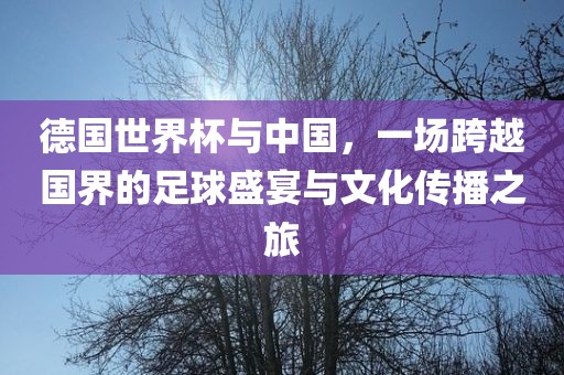 德国世界杯与中国,一场跨越国界的足球盛宴与文化传播之旅黄冈市中杰窑炉设备有限公司