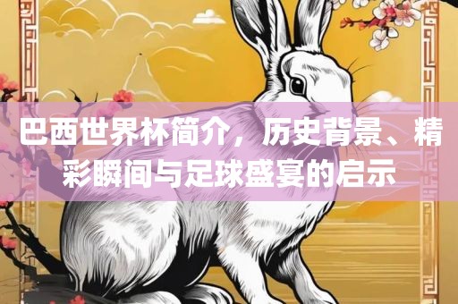 巴西世界杯简介，历史背景、精彩瞬间与足球盛宴的启示黄冈市中杰窑炉设备有限公司