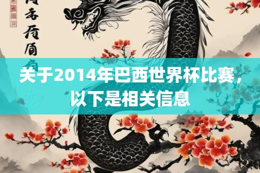 关于2014年巴西世界杯比赛，以下是相关信息
