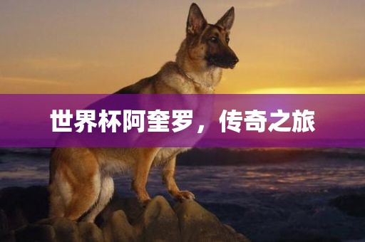 世界杯阿奎罗,传奇之旅